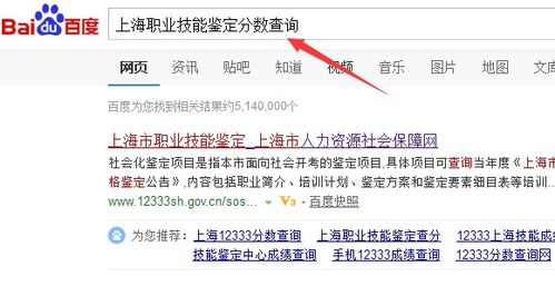 上海职业技能鉴定成绩查询与电码电话防伪技术咨询与服务指南